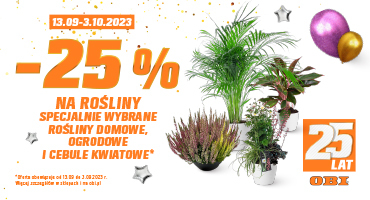  -25% na specjalnie wybrane rośliny