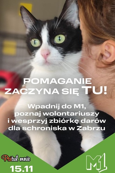Zbiórka na rzecz schroniska