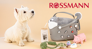 Promocja Rossmann