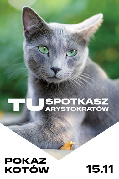 Spotkaj się z ArysKOTracją!