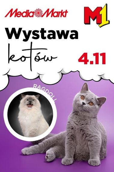 Wystawa kotów