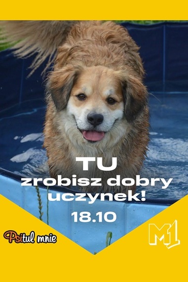 Psitul Mnie