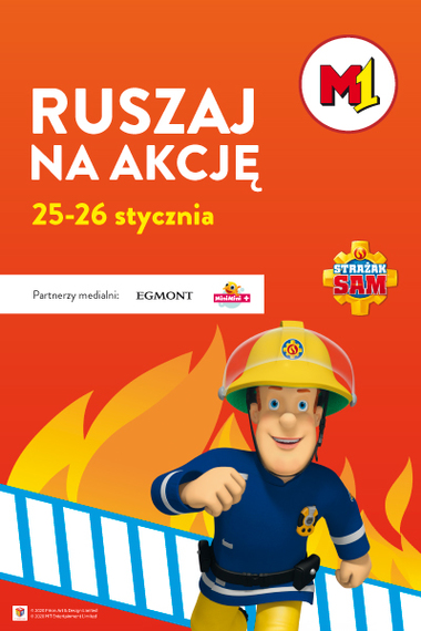 Strażak sam