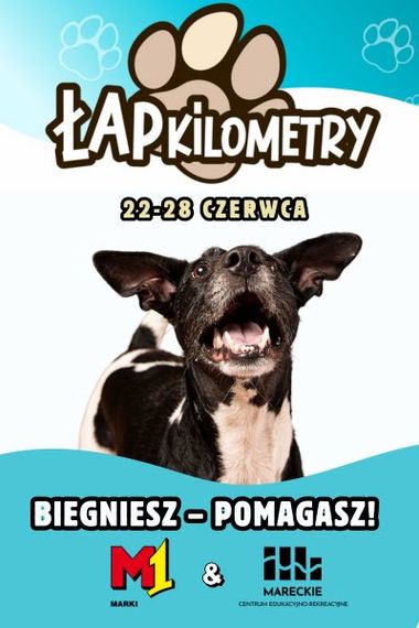 Łap kilometry z MCER i M1 Marki!