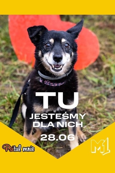 TU jesteśmy dla nich