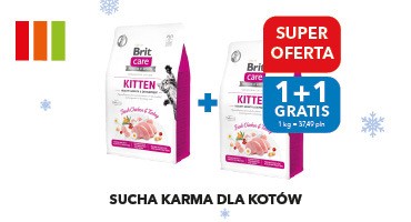 Promocje dla opiekunów zwierząt