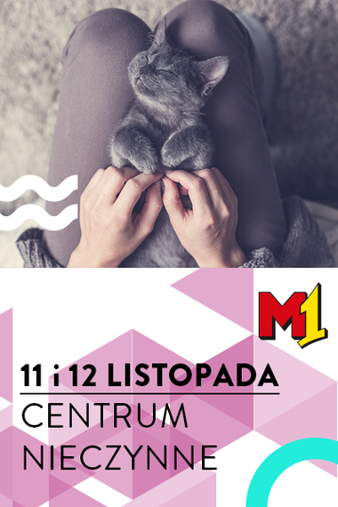 Centrum nieczynne 