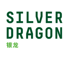 Silver Dragon