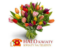 Halokwiaty